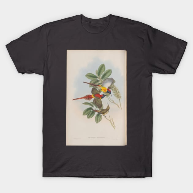 Three birds T-Shirt by pocketlama